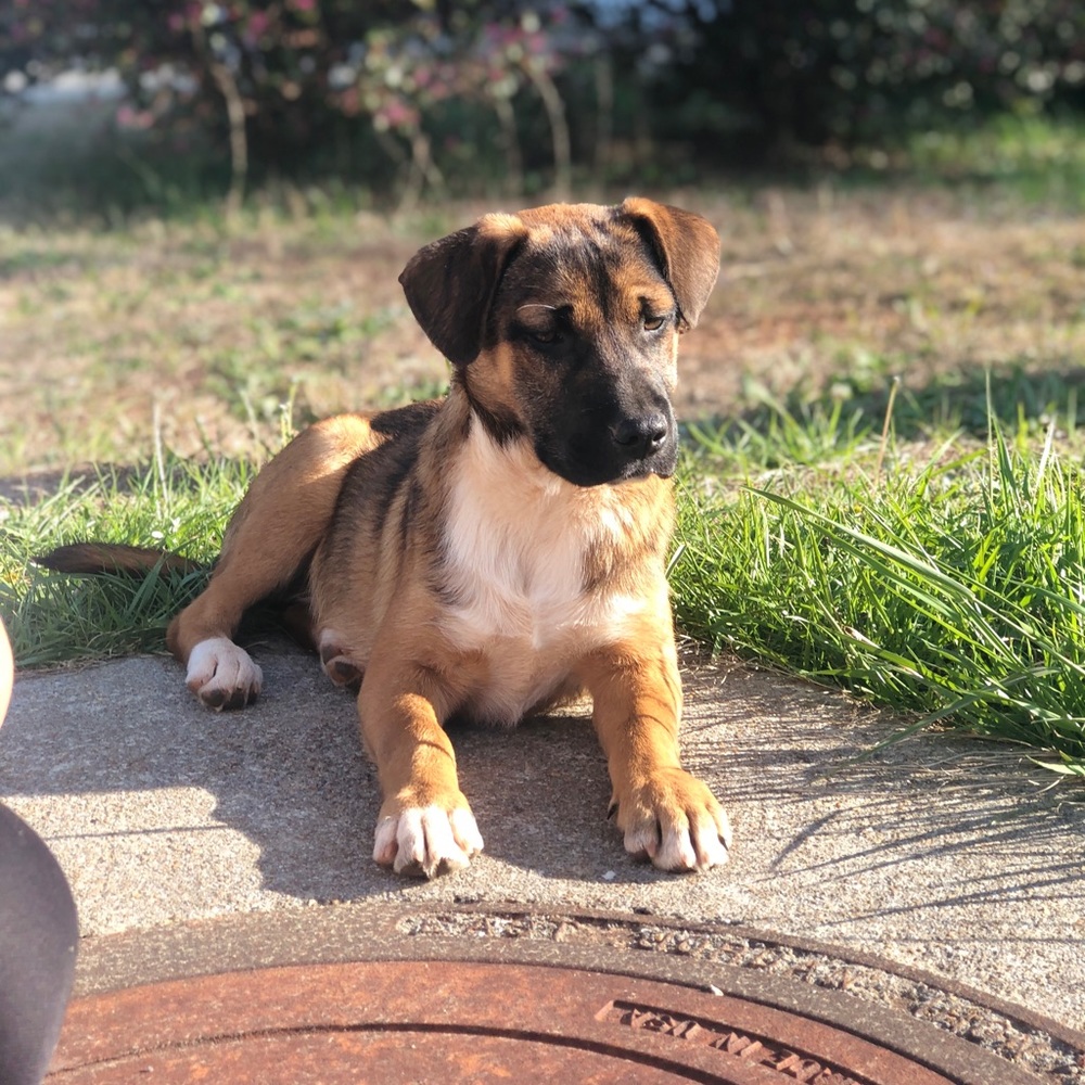 Meet your Posher, Zach